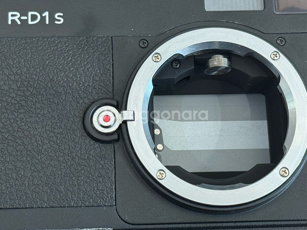 Epson RD-1S RF식 디지털 카메라 + 보이그란더 녹턴렌즈--4