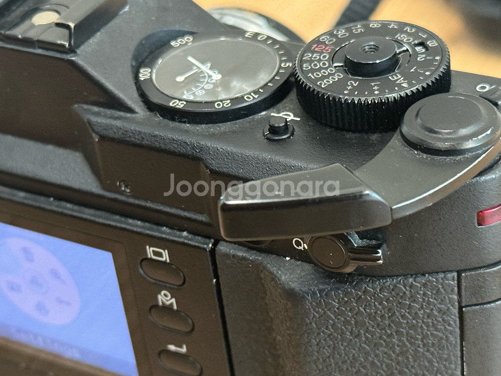 Epson RD-1S RF식 디지털 카메라 + 보이그란더 녹턴렌즈--7