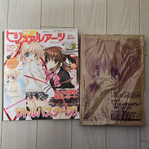 전격 비주얼아츠 2012 autumn 매거진 리틀버스터즈