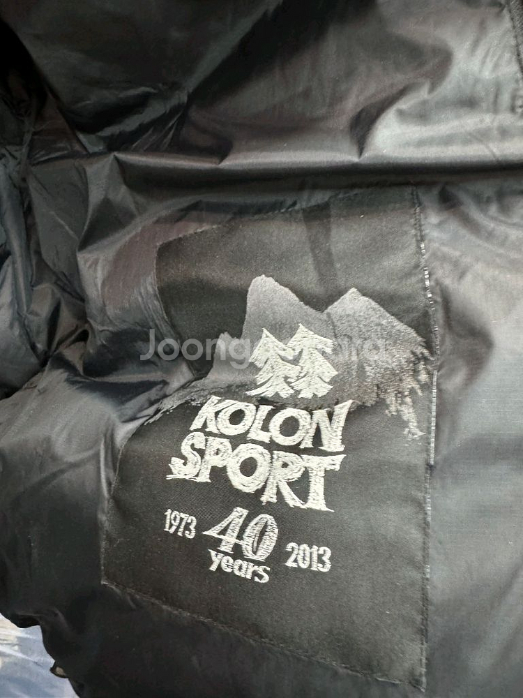 코오롱스포츠 40주년 한정판 3D 구스패딩 (100)--4