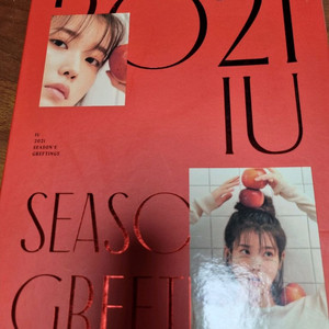 아이유 2021 시즌 그리팅