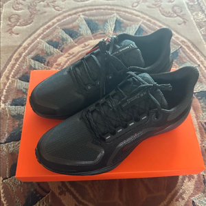 나이키 페가수스41 고어텍스280(새제품)