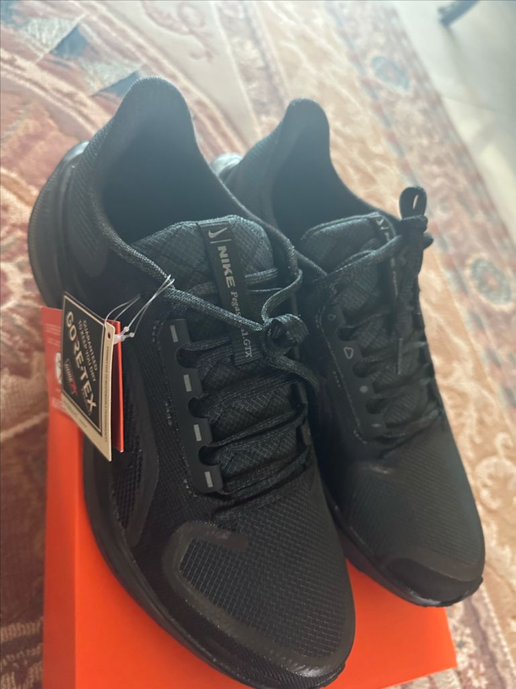 나이키 페가수스41 고어텍스280(새제품)--1