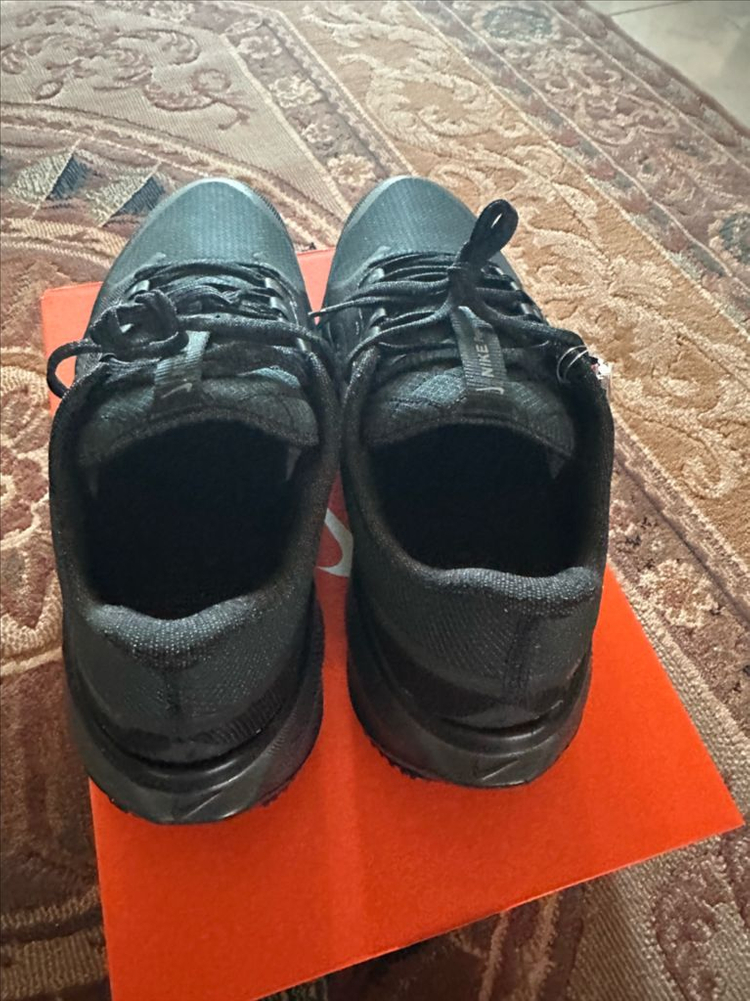 나이키 페가수스41 고어텍스280(새제품)--2