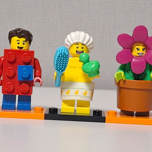 레고71021,71025 미피시즌18,19