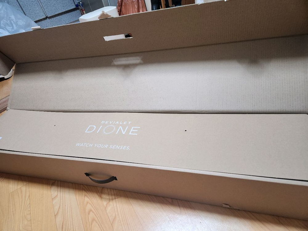 드비알레 디온 오페라--3