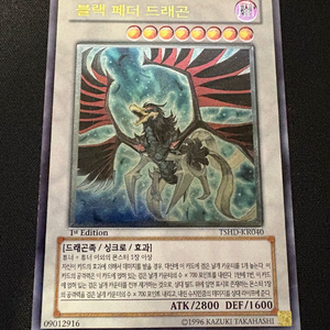 블랙 페더 드래곤 1ST 퍼에 유희왕