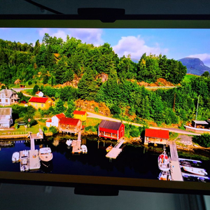 갤럭시탭 S10 울트라 256GB Wi-Fi 플래티넘 실버