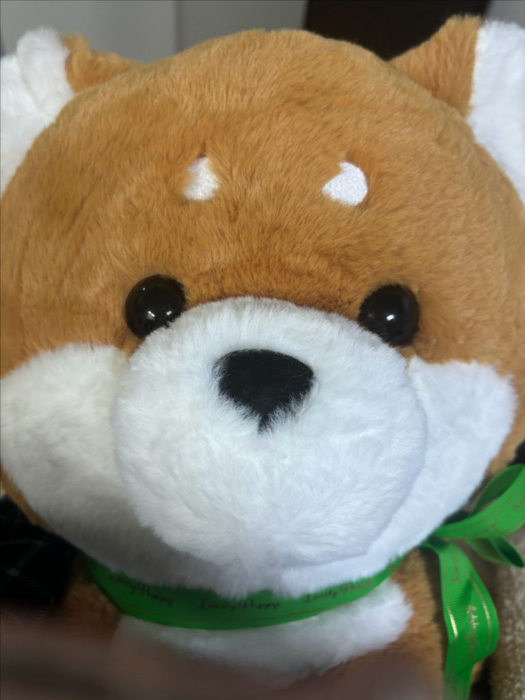 시바견 대형 인형 새상품--2