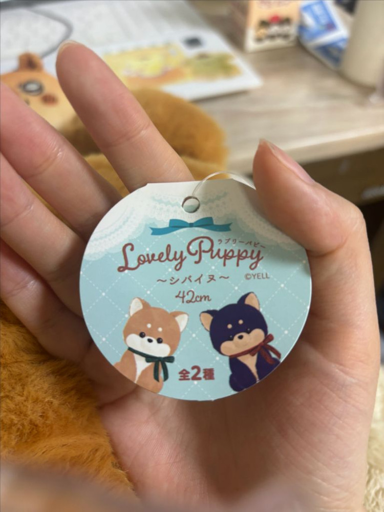 시바견 대형 인형 새상품--3