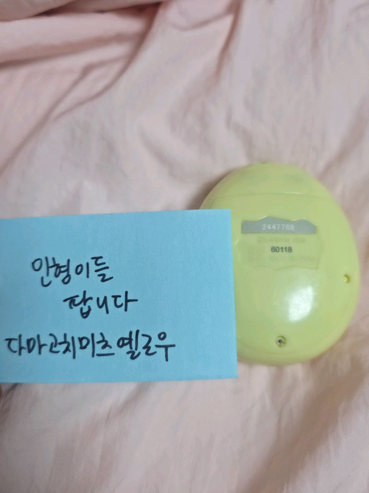 다마고치 미츠 옐로우 옐로 노랑 이미지