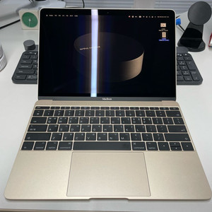 뉴 맥북 12인치 i5 2017 미친 컨디션 (20년 구매)