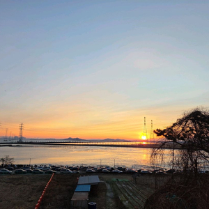 알로항머니 팝니다