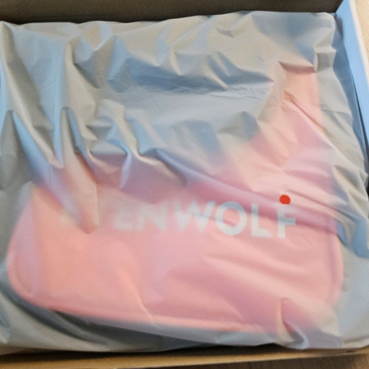 ETENWOLF Zephyr V3 에어펌프+전용 가방--2