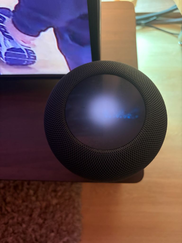 홈팟2--1