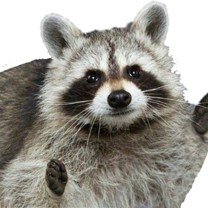 버튜버(이아니, 유리리)마우스패드 나눔합니다.