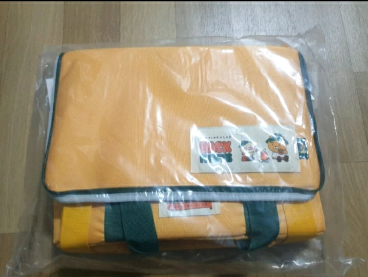 카카오프랜즈 백팩커스 쿨러백 - 라이언&춘식이 이미지