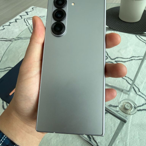 폴드6 256기가 실버