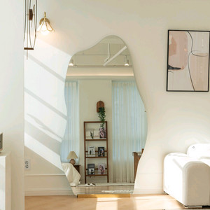 비정형 조약전신거울