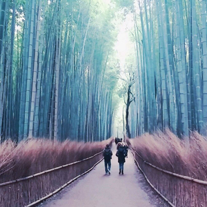 LG U+ 유플러스 데이터 2기가 판매