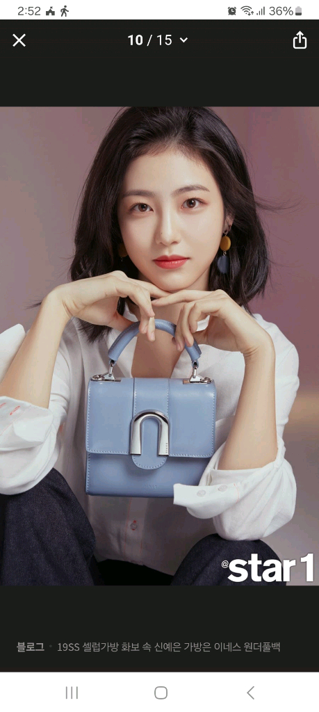 이네스 소가죽가방--5