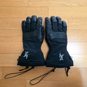 아크테릭스 피션 SV 글러브