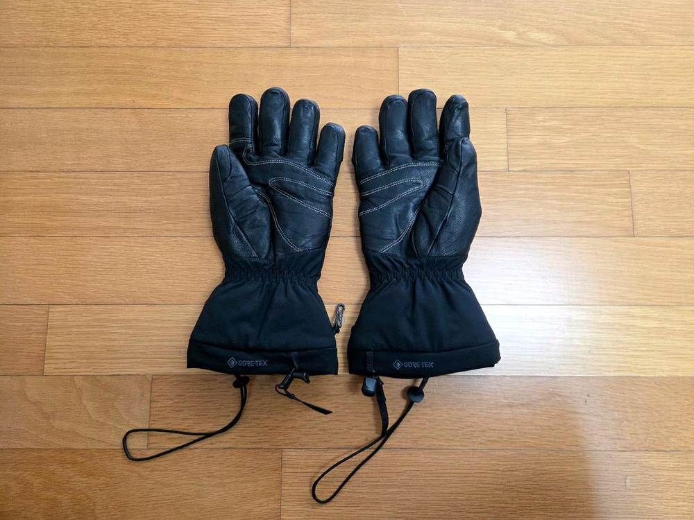 아크테릭스 피션 SV 글러브--1