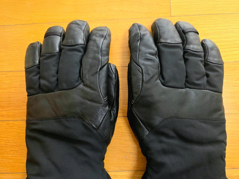 아크테릭스 피션 SV 글러브--2