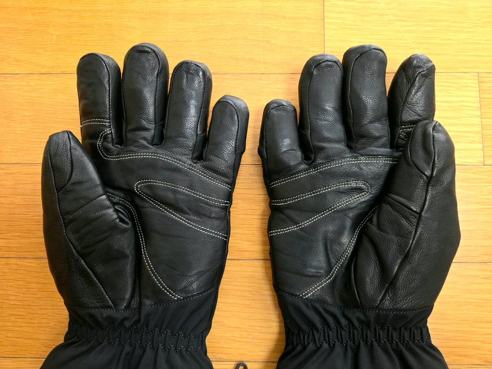 아크테릭스 피션 SV 글러브--3