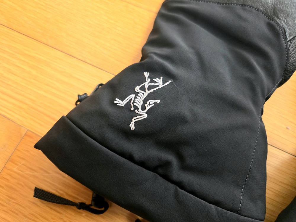 아크테릭스 피션 SV 글러브--4