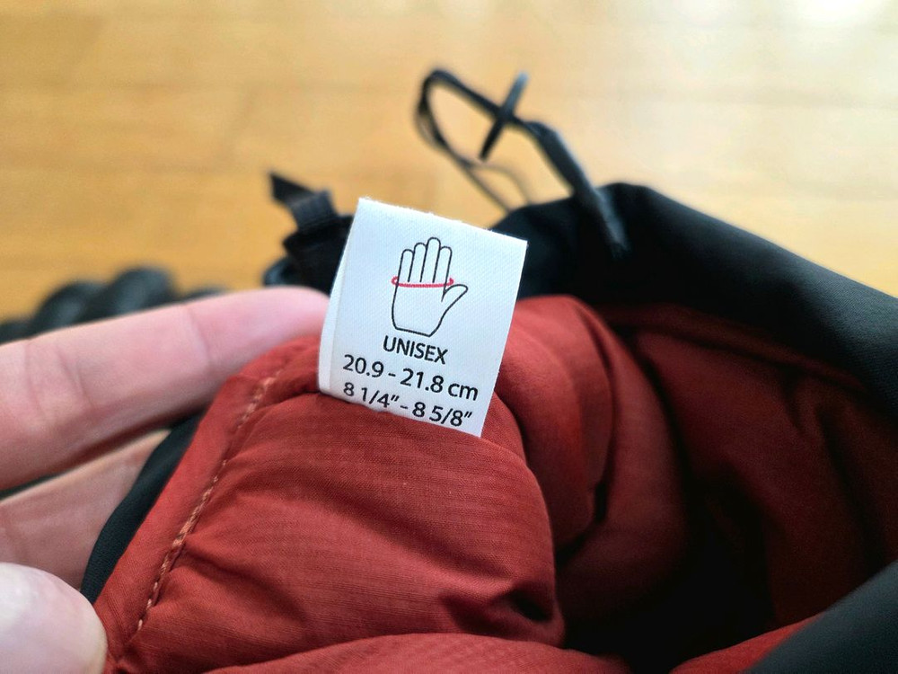 아크테릭스 피션 SV 글러브--6