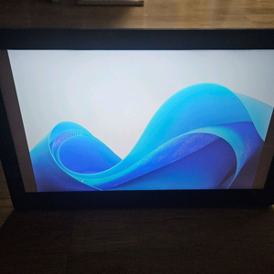 휴대용 디스플레이