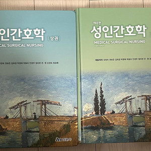 현문사 성인간호학 책