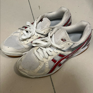 아식스 로테리브레 240