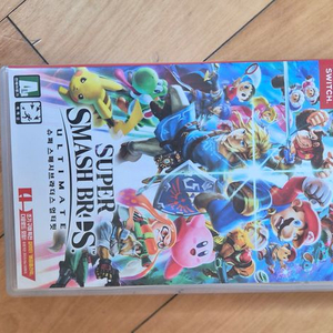 닌텐도 스위치 대난투 칩 이미지