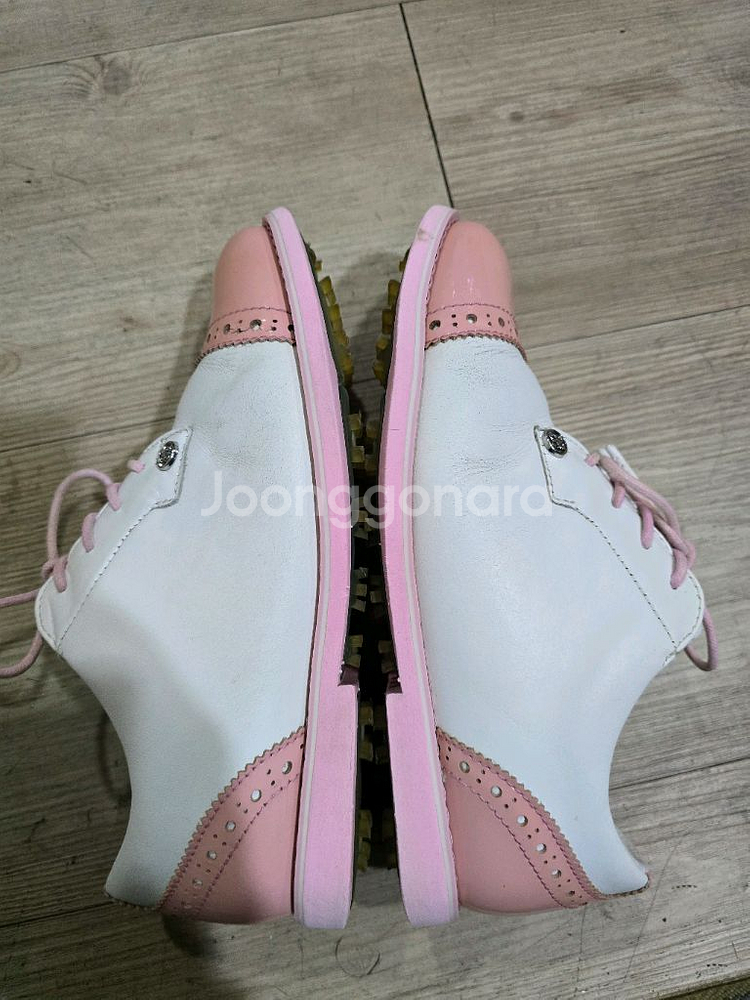 지포어 골프 스파이크리스 가죽골프화 235mm--4