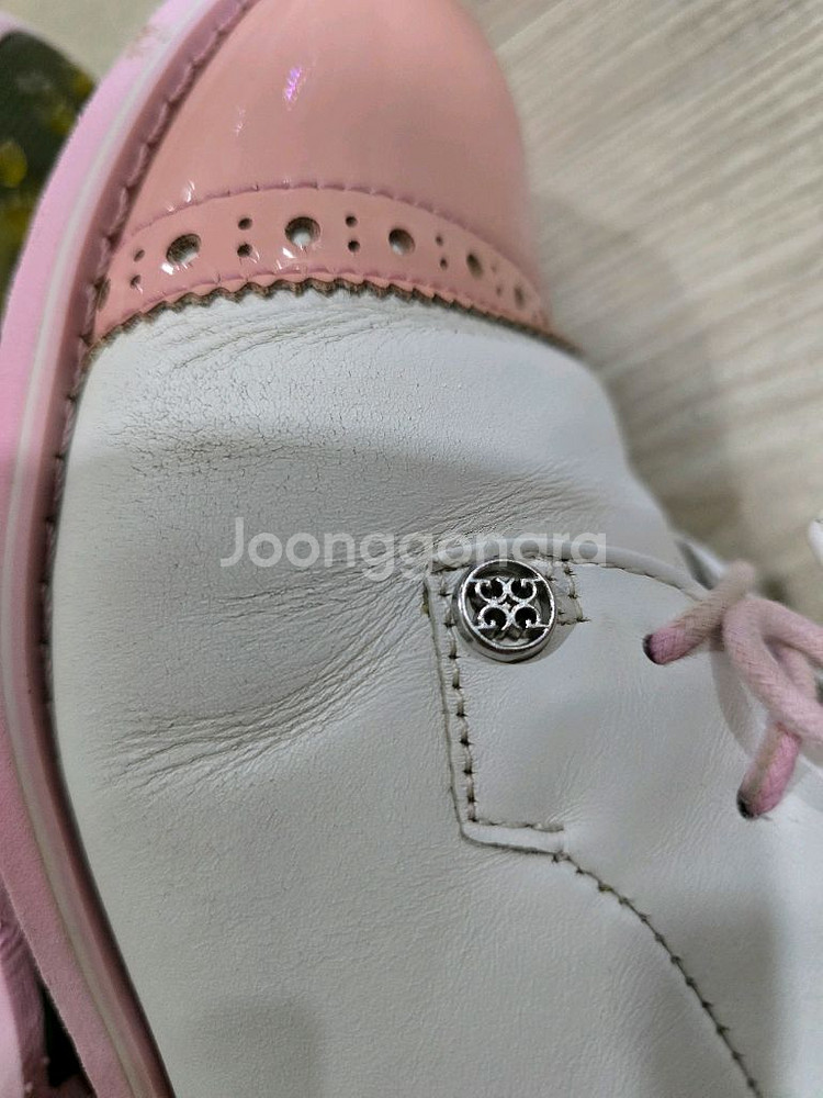 지포어 골프 스파이크리스 가죽골프화 235mm--5