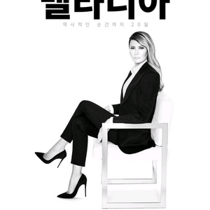 cgv 메가박스 멜라니아 731 예매합니다 1인당 1000원