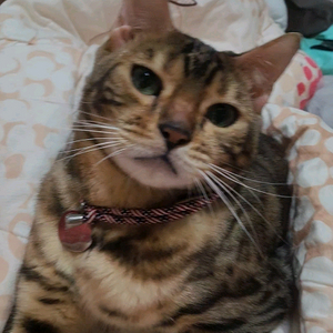 저랑 재미있는 이야기 하실분!!