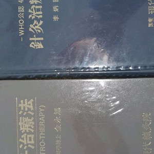 전기침과 침치료법 2권