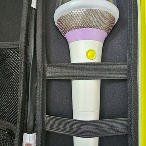 아이유 공식 마이크