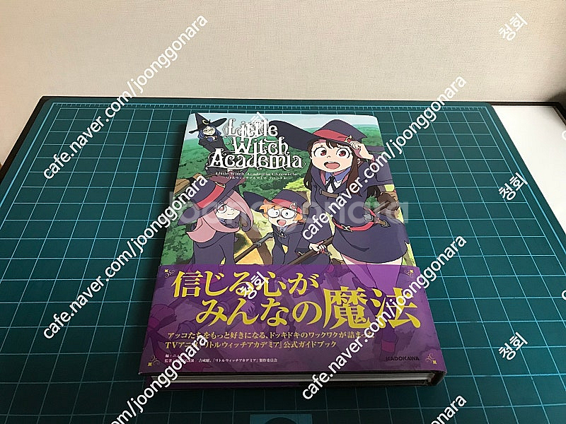 아트북 화집 화보집 원화집 일러스트집 62권 톱을 노려라, 카우보이비밥, 페르소나, 페이트, 히로아카, 낙원추방 등--3