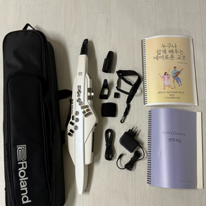 롤랜드 에어로폰 일괄 이미지