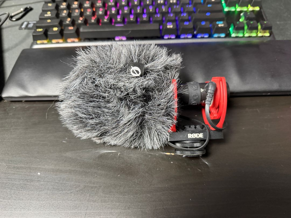 로데 비디오마이크 GO II + WS12 윈드실드--1