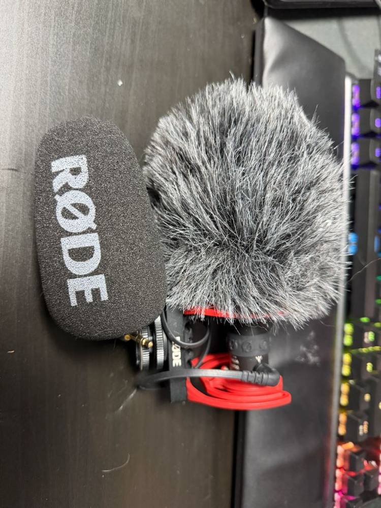 로데 비디오마이크 GO II + WS12 윈드실드--3