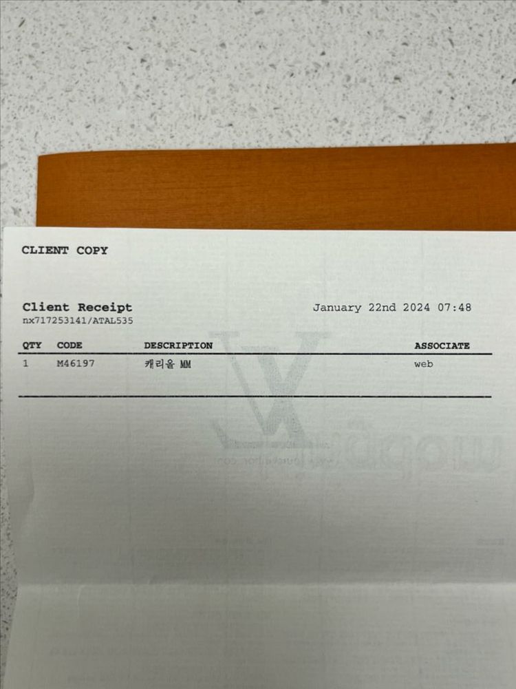 루이비통 캐리올 MM--6