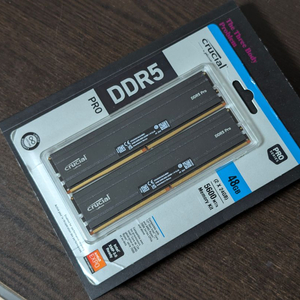 마이크론 크루셜 DDR5 24GB * 2 48GB 램 RAM PC용