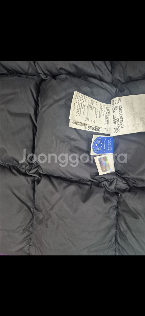 캐나다구스 여성 M--6