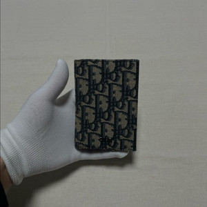 디올 오블리크 자카드 오거나이저 [os]