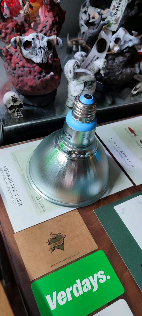 코덱스 레일 숏소켓 (아프리카식물전용)--1